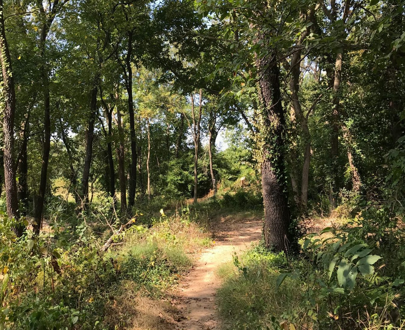 Volunteers to spruce up 23rd Street Bike Park