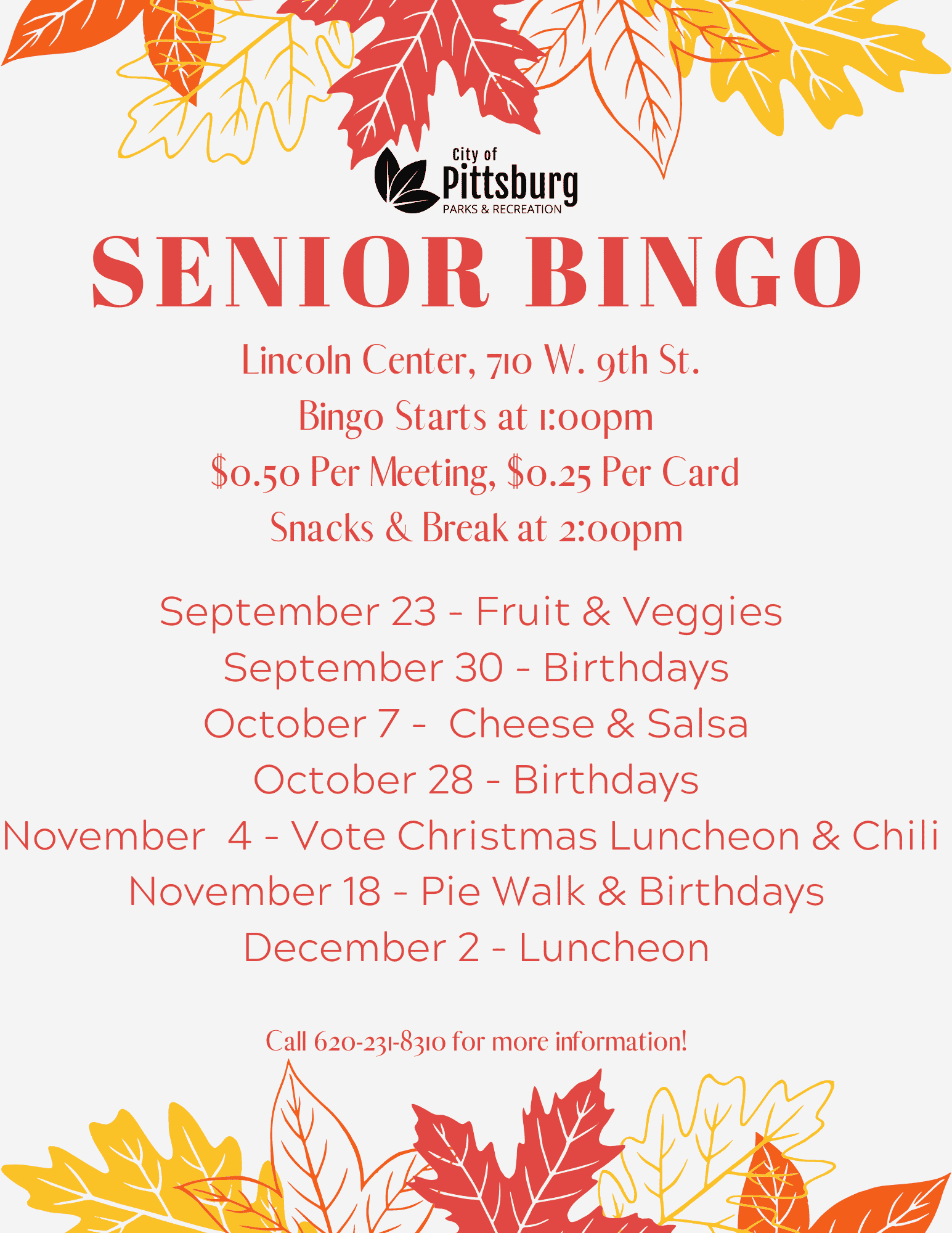 Senior bingo flyer