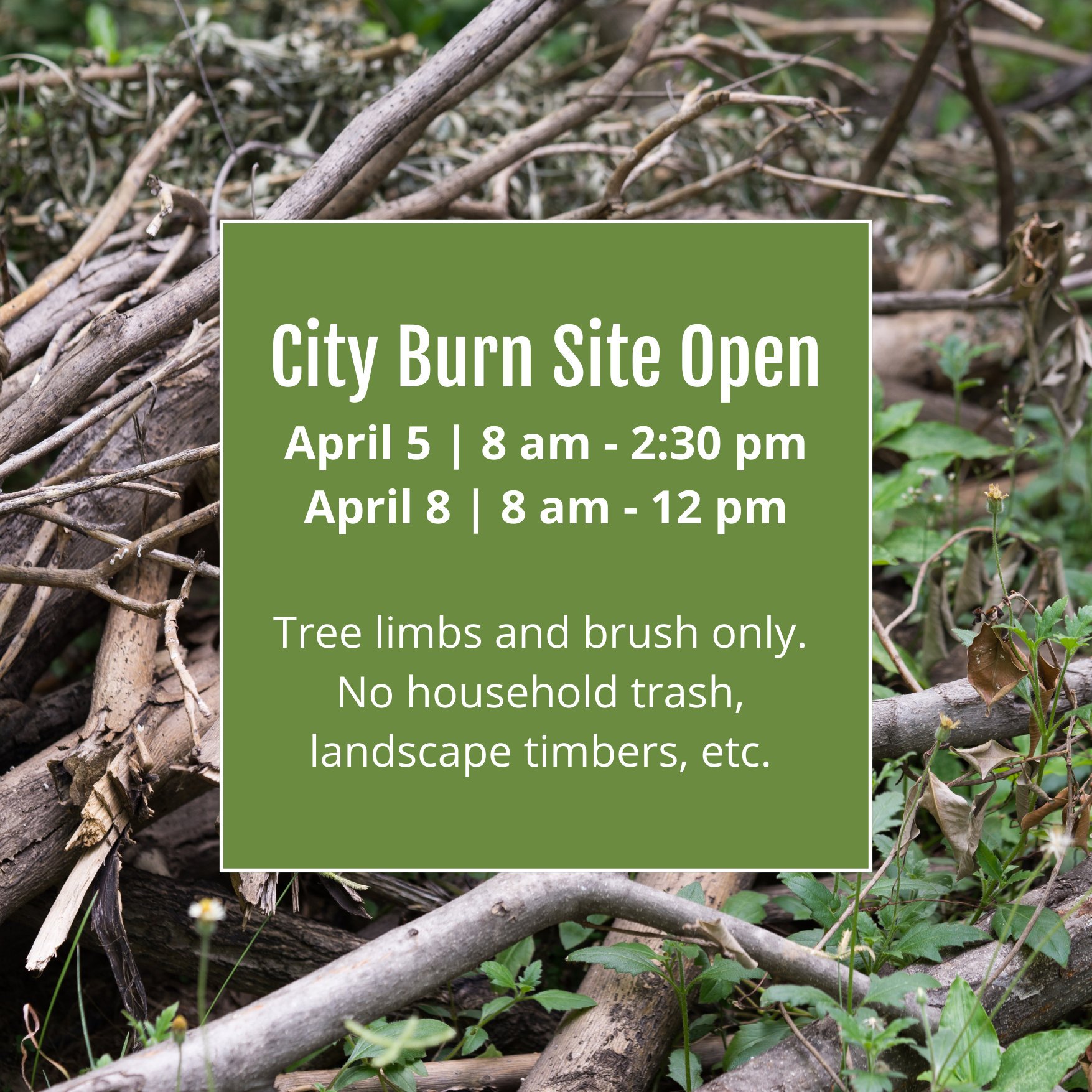 City Burn Site Apr 5