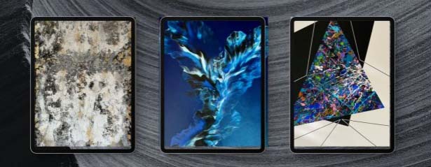 Lynn Meredith art exhibit on display at MACC