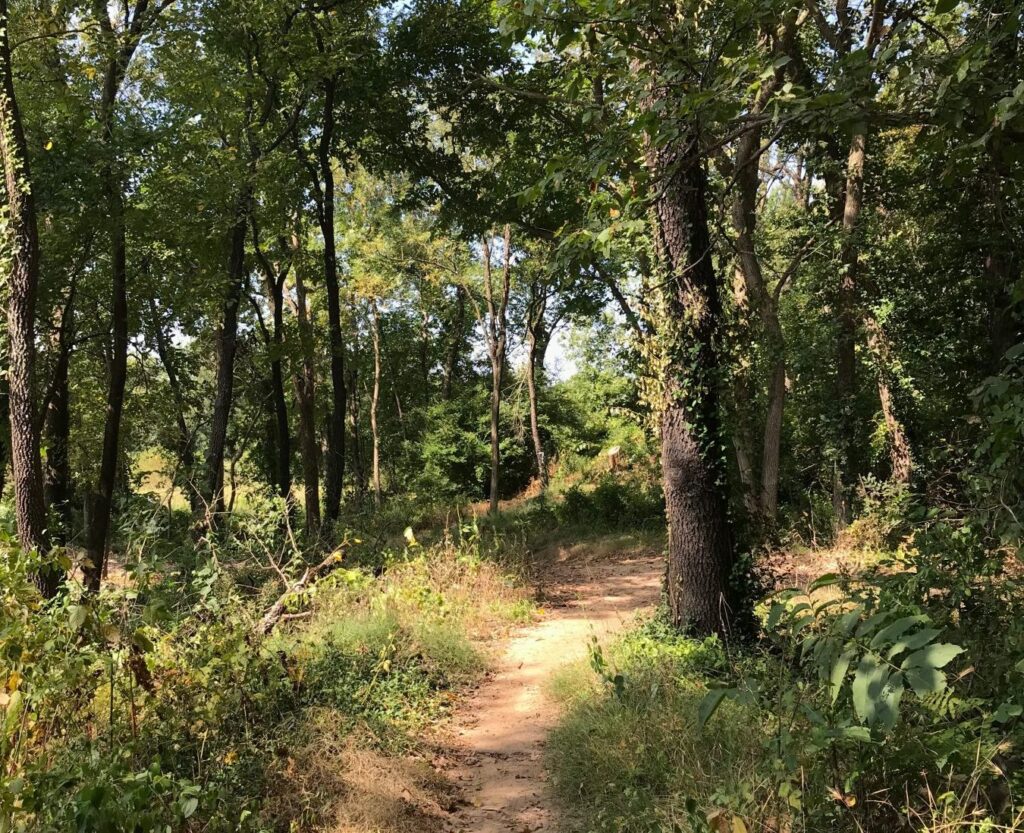 Volunteers to spruce up 23rd Street Bike Park