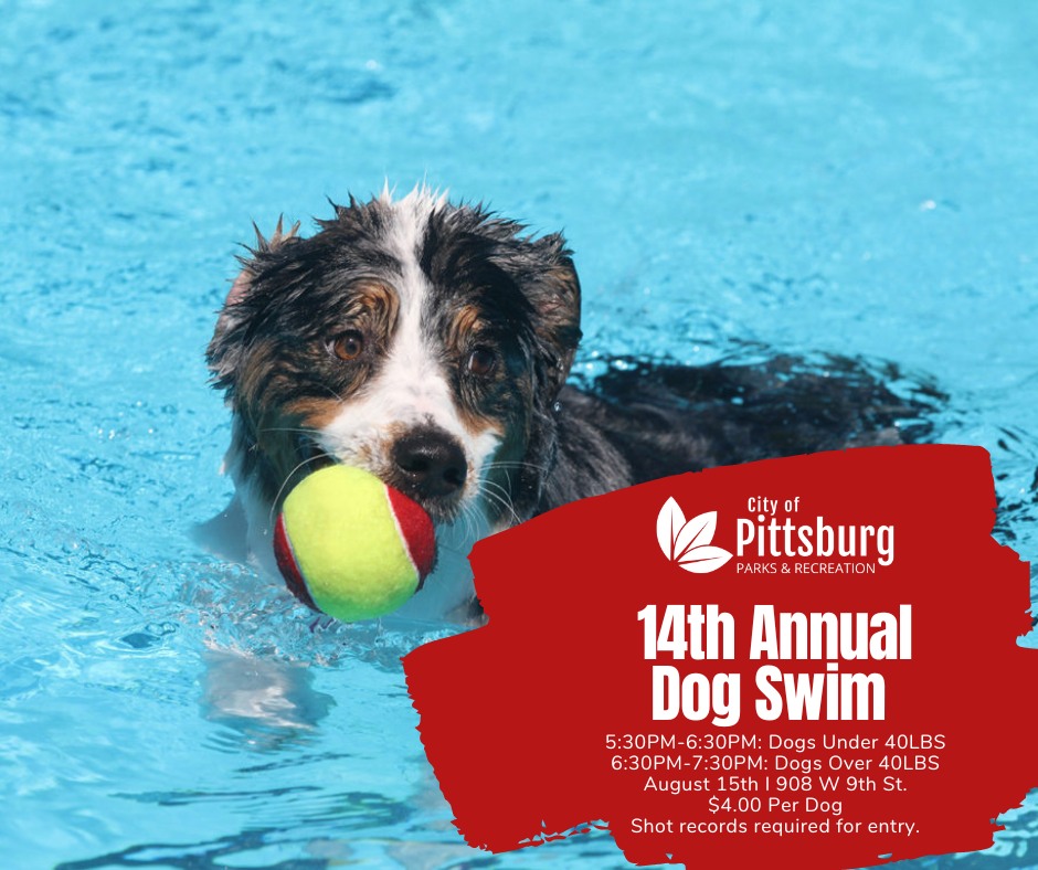 Dog Swim
