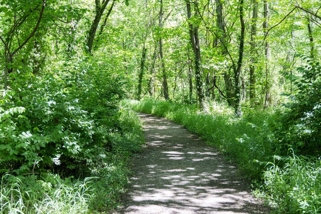 A trail at Wilderness Park in Pittsburg, KS.